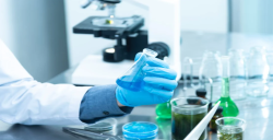亚马逊要求的ISO 17025认可的实验室是什么?